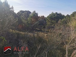 Land - Sale - ŠIBENSKO-KNINSKA - VODICE - SRIMA