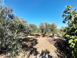 Zemljište - Prodaja - ŠIBENSKO-KNINSKA - VODICE - PRVIĆ ŠEPURINE