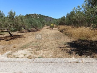 Grundstück - Verkauf - ŠIBENSKO-KNINSKA - MURTER - MURTER