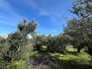 Grundstück - Verkauf - ŠIBENSKO-KNINSKA - VODICE - VODICE