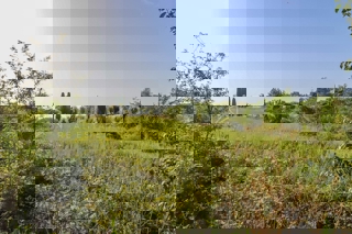 Land - Sale - ISTARSKA - FAŽANA - FAŽANA