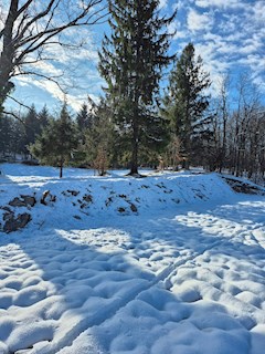 Grundstück - Verkauf - KARLOVAČKA - OGULIN - OGULIN