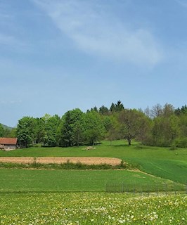Land - Sale - KARLOVAČKA - OGULIN - OGULIN