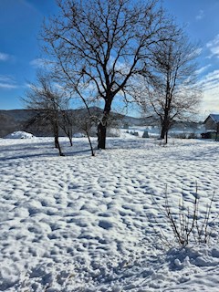 Grundstück - Verkauf - KARLOVAČKA - OGULIN - OGULIN