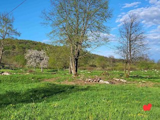 Zemljište - Prodaja - KARLOVAČKA - OGULIN - OGULIN