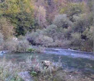 Zemljište - Prodaja - KARLOVAČKA - OGULIN - OGULIN