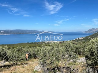 Land - Sale - SPLITSKO-DALMATINSKA - BAŠKA VODA - BAST