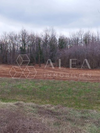 Land - Sale - ISTARSKA - BARBAN - BARBAN