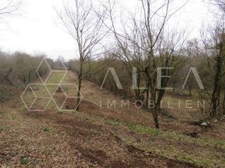 Grundstück - Verkauf - ISTARSKA - SVETA NEDELJA - NEDEŠĆINA