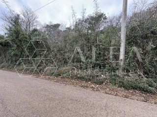 Grundstück - Verkauf - ISTARSKA - RAŠA - DRENJE