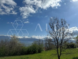 Land - Sale - ISTARSKA - PIĆAN - PIĆAN