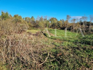 Land - Sale - ISTARSKA - LABIN - LABIN