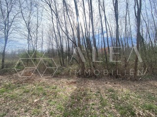 Land - Sale - ISTARSKA - LABIN - LABIN