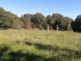 Grundstück - Verkauf - ISTARSKA - SVETA NEDELJA - VREĆARI