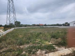 Land - Sale - ISTARSKA - VODNJAN - GALIŽANA
