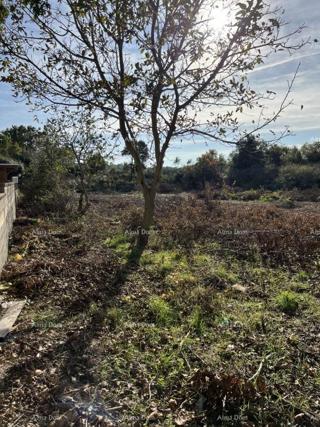 Land - Sale - ISTARSKA - LIŽNJAN - LIŽNJAN