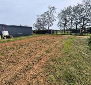 Zemljište - Prodaja - ISTARSKA - BRTONIGLA - BRTONIGLA