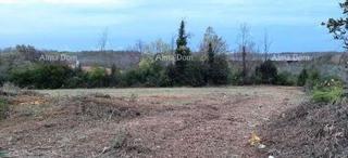 Grundstück - Verkauf - ISTARSKA - BRTONIGLA - BRTONIGLA