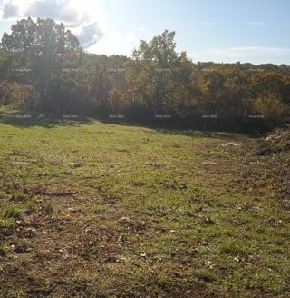 Land - Sale - ISTARSKA - BUJE - KAŠTEL