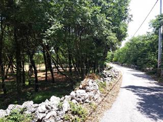 Grundstück - Verkauf - ISTARSKA - MARČANA - RAKALJ