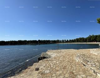 Stan - Prodaja - ISTARSKA - NOVIGRAD - NOVIGRAD