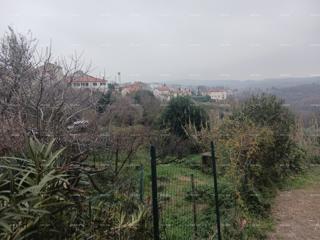 Grundstück - Verkauf - ISTARSKA - BUJE - BUJE