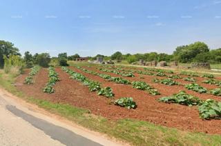 Zemljište - Prodaja - ISTARSKA - MARČANA - LOBORIKA