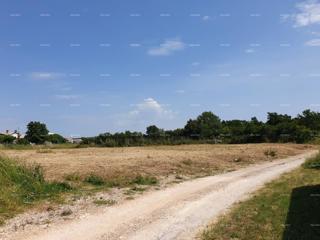 Land - Sale - ISTARSKA - LIŽNJAN - ŠIŠAN