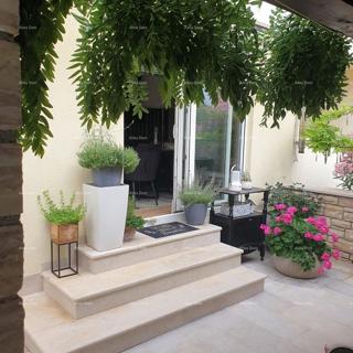 Flat - Sale - ISTARSKA - NOVIGRAD - NOVIGRAD