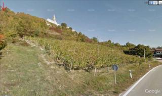 Land - Sale - ISTARSKA - PIĆAN - PIĆAN
