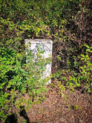 Grundstück - Verkauf - ISTARSKA - KRŠAN - KRŠAN