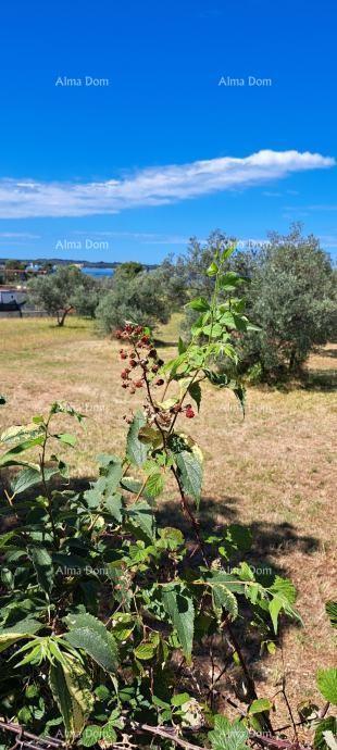 Grundstück - Verkauf - ISTARSKA - FAŽANA - FAŽANA