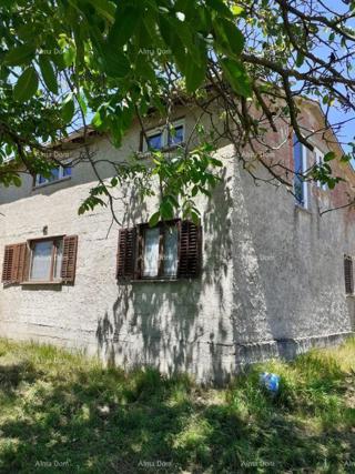 Haus - Verkauf - ISTARSKA - TINJAN - TINJAN