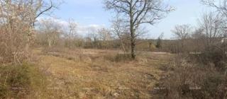 Land - Sale - ISTARSKA - GROŽNJAN - GROŽNJAN