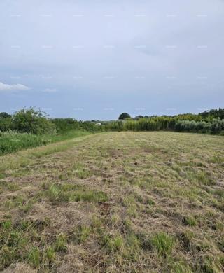 Grundstück - Verkauf - ISTARSKA - UMAG - UMAG