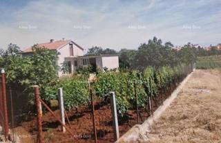 House - Sale - ISTARSKA - FAŽANA - VALBANDON