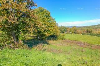 Zemljište - Prodaja - ISTARSKA - KAROJBA - KAROJBA