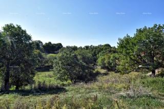 Zemljište - Prodaja - ISTARSKA - SVETVINČENAT - SVETVINČENAT