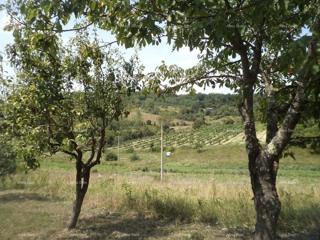 Zemljište - Prodaja - ISTARSKA - POREČ - POREČ