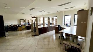 Business premises - Sale - ISTARSKA - BUJE - BUJE