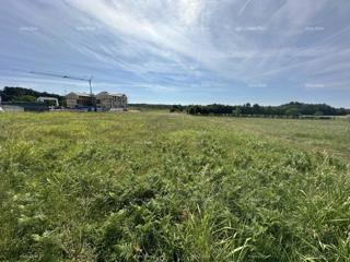 Land - Sale - ISTARSKA - BARBAN - BARBAN
