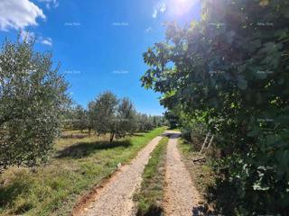 Grundstück - Verkauf - ISTARSKA - PULA - PULA