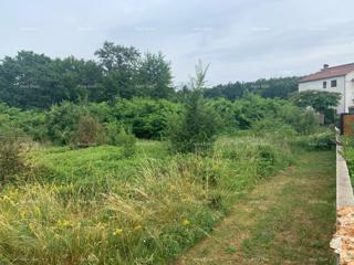 Zemljište - Prodaja - ISTARSKA - PAZIN - PAZIN