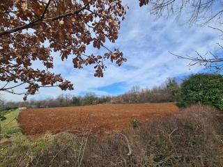 Zemljište - Prodaja - ISTARSKA - BARBAN - BARBAN