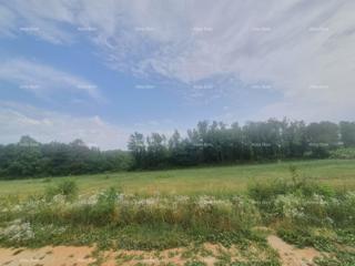 Land - Sale - ISTARSKA - VIŠNJAN - VIŠNJAN