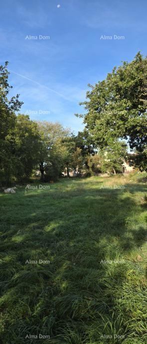 Land - Sale - ISTARSKA - KANFANAR - KANFANAR