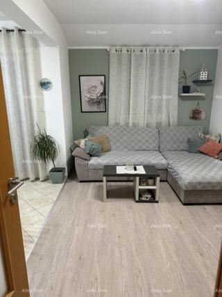 Flat - Sale - ISTARSKA - ŽMINJ - ŽMINJ