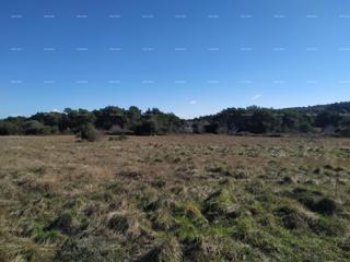 Zemljište - Prodaja - ISTARSKA - MEDULIN - BANJOLE