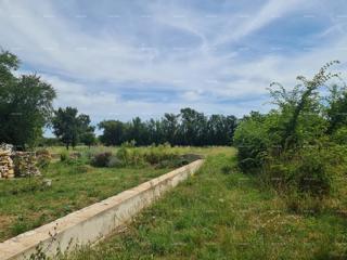Land - Sale - ISTARSKA - MARČANA - LOBORIKA