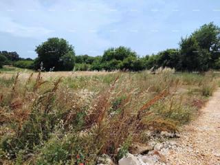 Land - Sale - ISTARSKA - LIŽNJAN - LIŽNJAN